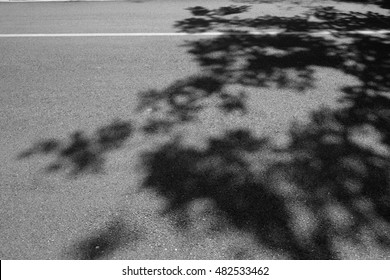 Tree Shadow On Asphalt Road