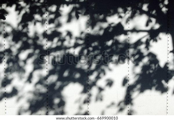 Tree shadow on cargo\
auto