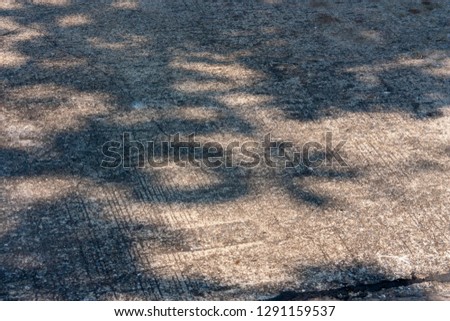 Similar – Image, Stock Photo Shadow of the Tree Summer