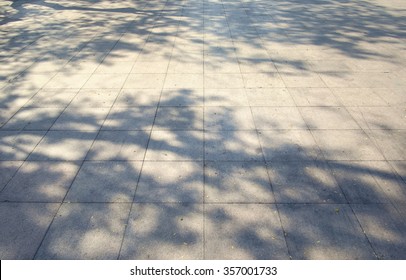 Tree Shadow On The White Concrete Background