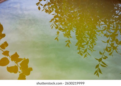 Tree shadow reflection background on water surface. Reflection in lake. Lake mirror reflection. Tree reflection in water. Silhouette leaves. Beautiful scenic view of nature.