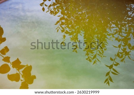 Tree shadow reflection background on water surface. Reflection in lake. Lake mirror reflection. Tree reflection in water. Silhouette leaves. Beautiful scenic view of nature.
