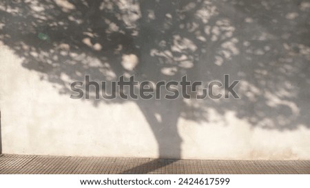 Tree shadow in urban street