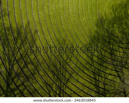 Similar – Moos auf einer Holztafel in der Umgebung eines Waldes