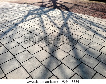 Tree shadows on old stone pavement in the sunset
