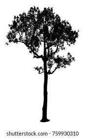 Tree Silhouettes On White Background Vector Stock Vector (Royalty Free ...