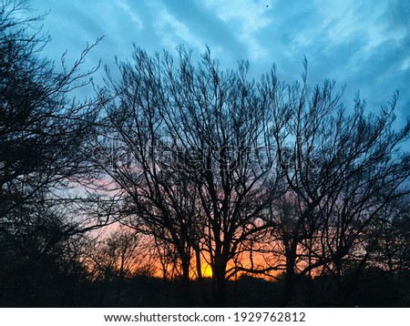 Similar – Image, Stock Photo Sunrise in Essen Sunlight