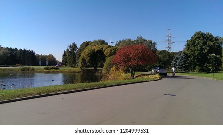 Tree Sky Plant Transportation Road Motor Vehicle Nature Car Mode Of Clear Day No People Land Water Copy Space Outdoors