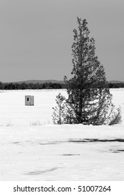 Tree In Snow Covered Field
