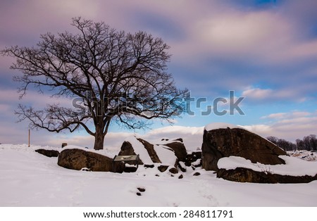 A tree and snow covered rocks at Devil's Den, in Gettysburg, PA during the winter.