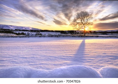 Tree In Snow Scene With Dramatic Sunset