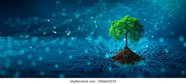 Tree with soil growing on  the converging point of computer circuit board. Blue light and wireframe network background. Green Computing, Green Technology, Green IT, csr, and IT ethics Concept. - Shutterstock ID 1946631574