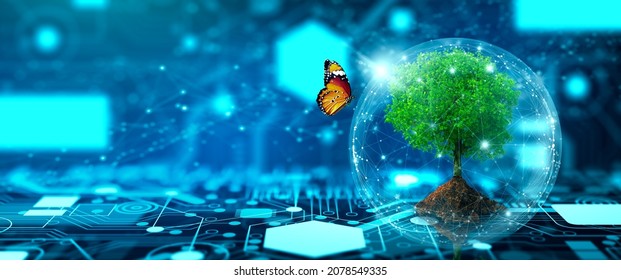 Tree with soil growing on  the converging point of computer circuit board. Blue light and wireframe network background. Green Computing, Green Technology, Green IT, csr, and IT ethics Concept.