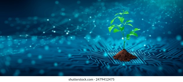 Tree with soil growing on  the converging point of computer circuit board. Blue light and low poly wireframe network background. Green Computing, Green Technology, Green IT, csr, and IT ethics Concept