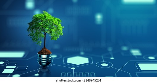 Tree with soil growing on  Light bulb. Digital Convergence and and Technology Convergence. Blue light and network background. Green Computing, Green Technology, Green IT, csr, and IT ethics Concept. - Shutterstock ID 2148945261