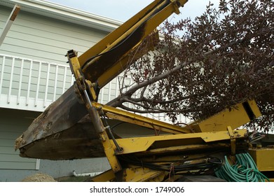 Tree Spade Moving Tree To Be Transplanted