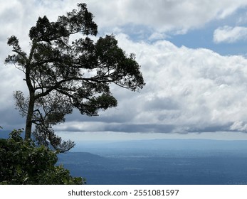 A tree standing atop a mountain in Laos, higher than the sky, symbolizes resilience and strength. Surrounded by mist and towering peaks, this solitary tree defies the harsh conditions, rooted firmly i - Powered by Shutterstock