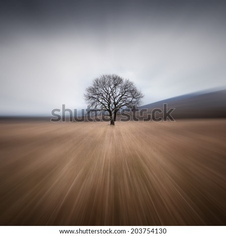Similar – Image, Stock Photo Apple blossom IV