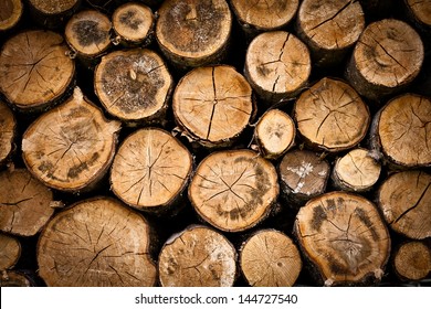 tree stump background - Shutterstock ID 144727540
