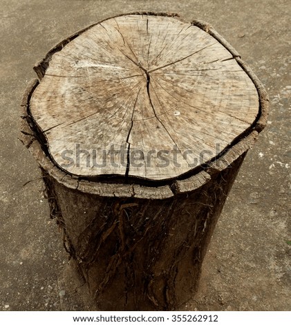 Similar – city tree Tree trunk