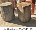 Tree stump chair. Natural wood log table