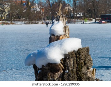 Tree Stump City Park Lake Nuremberg Winter 