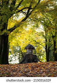 Tree Stump House Surrounded By Autumn Leaves 