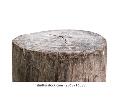 tree stump isolated on white background - Shutterstock ID 2368716533
