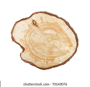 Tree stump isolated on white background