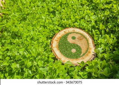 Tree stump on the grass with green ying yang symbol.
