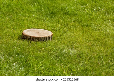 Tree Stump On The Green Grass