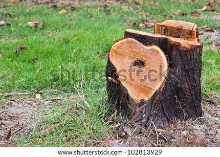 Tree stump in the park. Shape of the heart.