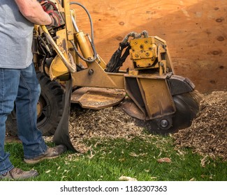 Tree Stump Removal, Grinding The Stumps And Roots Into Small Chips