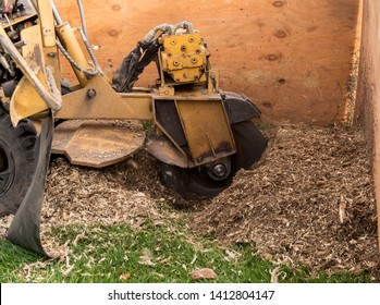 Tree Stump Removal, Grinding The Stumps And Roots Into Small Chips