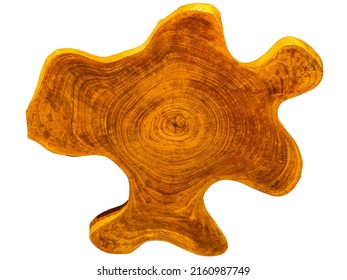Tree stump texture isolated on a white background
