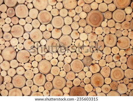 tree stumps background