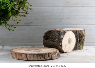 tree stumps on white background