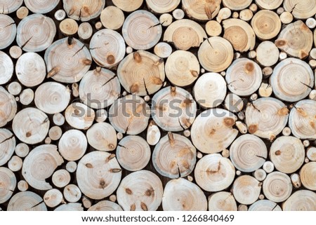 tree stumps and saws brown and red background