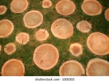 Tree stumps set in grass