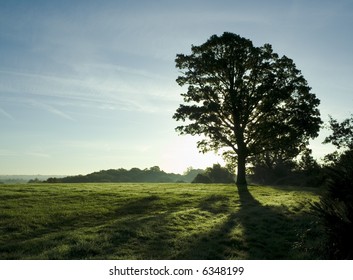 38 614 Sun Behind Trees Images Stock Photos Vectors Shutterstock 38 614 Sun Behind Trees Images Stock Photos Vectors Shutterstock