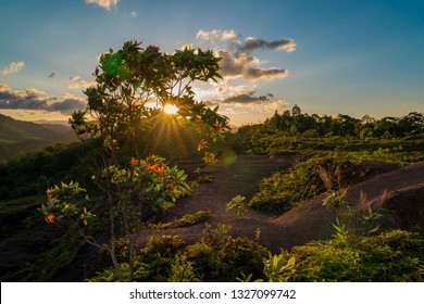 Tree With The Sun Shining Through The Branches At Golden Sunset Hill Top View