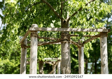 Tree Support is Trees Protection. Tree Landscape and Planting Young Trees concept. 