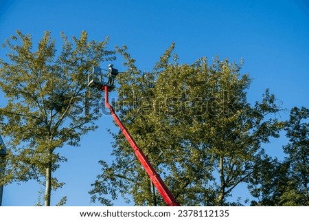Tree Surgeon cutting branches of trees from a cherry picker