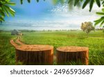 Tree Table wood Podium in the farm, a stand of display for food, perfume, and other products on nature background, Table in a farm with grass, Sunlight at morning	
