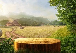 Tree Table Wood Podium In Farm Display For Food, Perfume, And Other Products On Nature Background, Table In A Farm With Grass, Trees, And Sunlight In The Morning	
