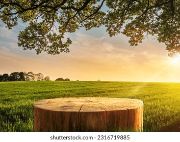 Tree Table wood Podium in farm display for food, perfume, and other products on nature background, Table in farm with grass, Sunlight at morning	
 - Shutterstock ID 2316719885