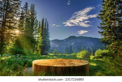 Tree Table wood Podium in farm display for food, perfume, and other products on nature background, Table in a farm with grass, trees, and Sunlight in the morning	
