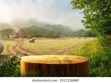 Tree Table wood Podium in farm display for food, perfume, and other products on nature background, Table in a farm with grass, trees, and Sunlight in the morning 
