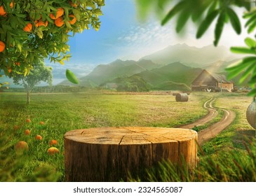 Tree Table wood Podium in farm display for food, perfume, and other products on nature background, Table in farm with orange tree and grass, Sunlight at morning	
					