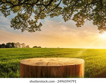 Tree Table wood Podium in farm display for food, perfume, and other products on nature background, Table in farm with grass, Sunlight at morning	
